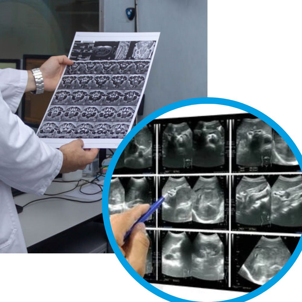 imagenes medicas en ikki color